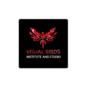 Visual Birds Institute and Studio