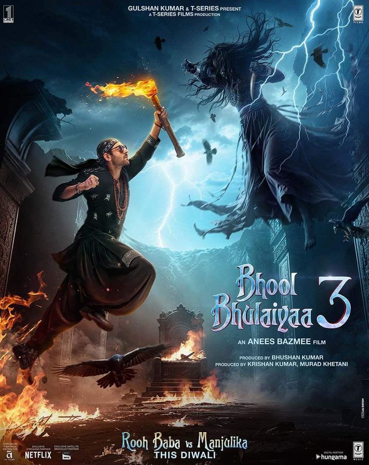 bhool-bhooliyan.jpeg